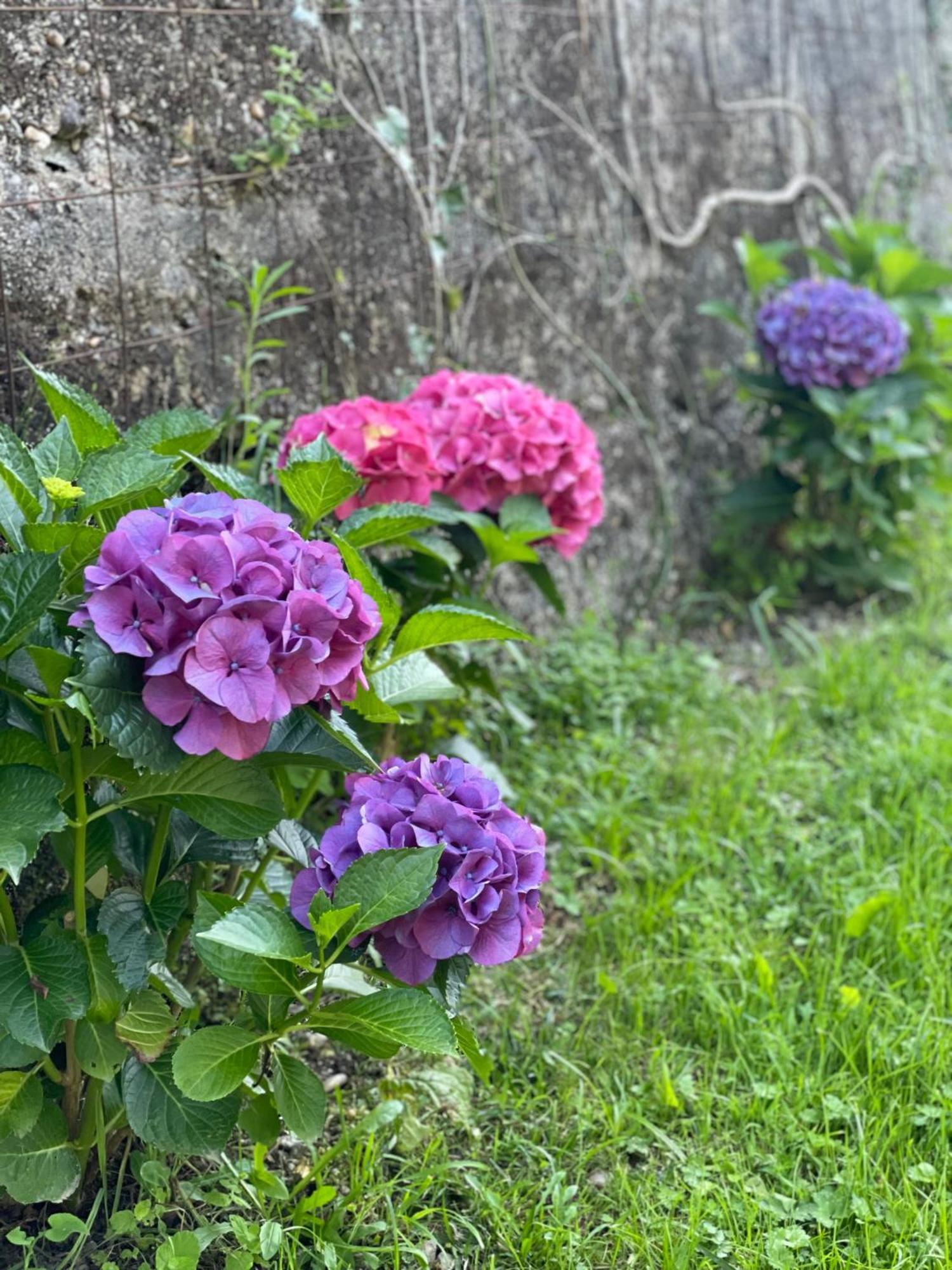 Quinta Das Ameixas - Country & Nature Arouca Exterior photo